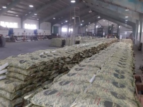 تولید و فرآوری ۱۴۵ تن بذر سویا رقم تپور در سال زراعی ۱۴۰۵