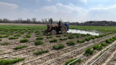 تلاش بی وقفه همکاران بخش خدمات فنی و تحقیقاتی در شرایط جنگی کشور