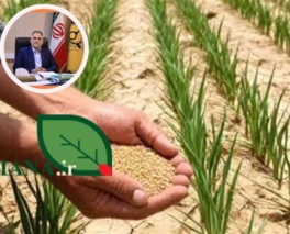 بذر مقاوم محور اصلی سازگاری کشاورزی ایران با تغییر اقلیم است