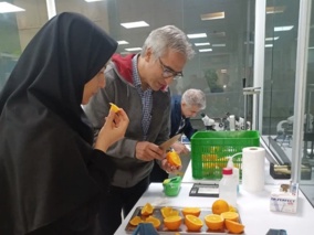 ارزیابی فنی کیفیت میوه‌های مرکبات ذخیره‌ شده در سردخانه پایانه صادراتی روماک گستر استان مازندران