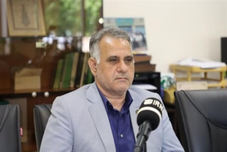 تدوین برنامه مدون برای تامین بذر محصولات کشاورزی کشور