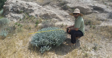آماربرداری و نمونه‌برداری میدانی از مراتع استان بوشهر در چارچوب طرح ملی پایش