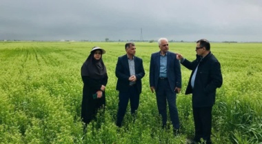 روشنی رئیس مرکز تحقیقات کشاورزی گلستان در بازدید از فعالیت های سربازان گمنام امنیت غذایی ایستگاه تحقیقات کشاورزی گنبد