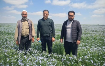 پایش فنی مزارع تولید و تکثیر بذر کتان و کاملینا توسط کارشناسان تحقیقات ثبت و گواهی بذر و نهال مرکز تحقیقات و آموزش کشاورزی و منابع طبیعی استان گلستان