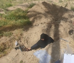 کاهش 37 درصدی تعداد استعلامات تغییر کاربری اراضی در بوشهر