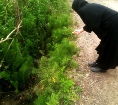 تعهد به حفظ تولید