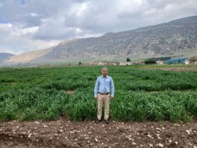 پیشرفت چشمگیر پروژه‌های گندم دیم در ایستگاه چرداول؛ گامی مهم برای امنیت غذایی