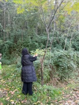 هشداری از دل طبیعت