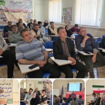 برگزاری کارگاه آموزشی مدیریت آفات گندم مدیریت بهنگام برای کنترل و مبارزه با سن گندم