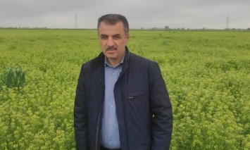 کشت ۷ هزار هکتاری «کاملینا» در اراضی شور گلستان/ ایستگاه تحقیقاتی گنبد به قطب تولید بذر کشور تبدیل شود