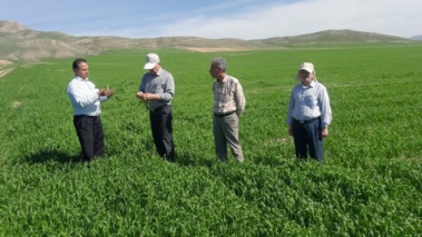 بازدید از ایستگاههای تحقیقات سیساب و شیروان