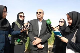 معرفی ۱۰ رقم جدید گندم و جو در سال ۱۴۰۳ / ضرورت تقویت سرمایه‌گذاری در تحقیقات کشاورزی