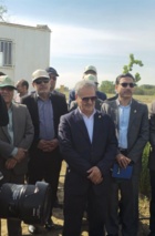 بیش از 99 درصد ارقام گندم کشت‌شده در کشور حاصل تحقیقات محققان مؤسسه تحقیقات اصلاح و تهیه نهال و بذر است