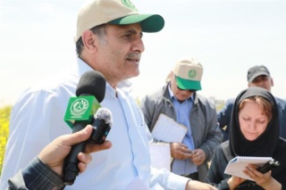 هدف‌گذاری تولید ۳۱ تن هسته‌های اولیه بذر دانه‌های روغنی در سال ۱۴۰۵