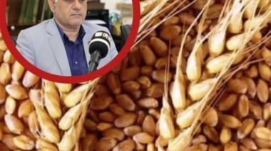 ضرورت راه اندازی بازار بین المللی در البرز / ظرفیت های قابل توجه در تولید بذر اصلاح شده