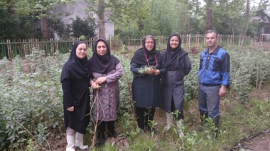 شکوفایی دانش در مزرعه