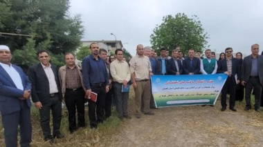 تأکید رئیس مرکز تحقیقات و آموزش کشاورزی گلستان بر نقش دانش فنی در پایداری تولید و امنیت غذایی