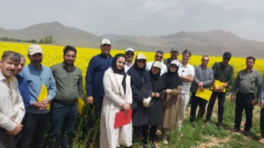 برگزاری روز مزرعه کلزا در روستای ایجان شهرستان خنداب با تاکید بر مصرف بهینه آب