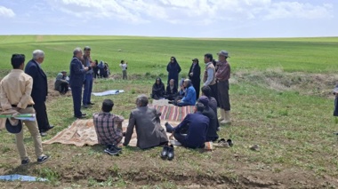 ایجاد مزرعه الگویی گیاهان دارویی در شهرستان شازند