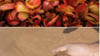 پسماندهای کشاورزی؛ از کنجاله زیتون تا تفاله پرتقال، جایگزینی راهبردی برای نهاده‌های وارداتی