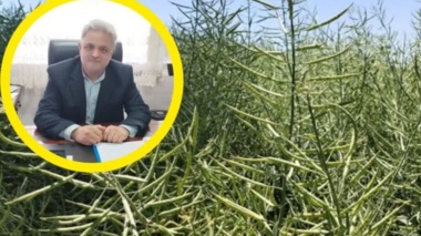 تغذیه تلفیقی گیاه؛ راهکاری عملیاتی برای غلبه بر تنش خشکی در مزارع تهران