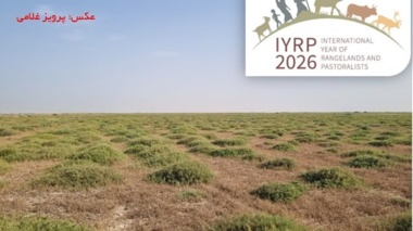 به مناسبت ۲۵ اردیبهشت روز ملی مرتع و مرتعداری