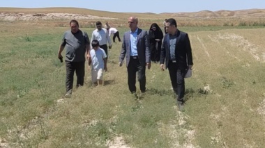 بازدید میدانی محققان مرکز تحقیقات و آموزش کشاورزی گلستان از الگوی موفق کشت زیره در منطقه بخش هفت گنبدکاووس