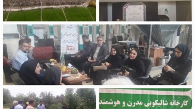 تجربه موفق یک کشاورز گیلانی