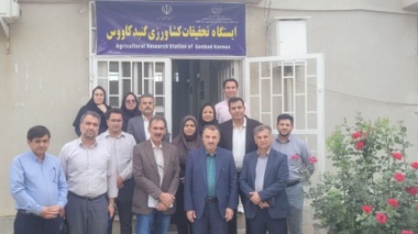 تحول در تولید هسته‌های بذری کشور/ بازدید رئیس مؤسسه تحقیقات دیم کشور از ایستگاه ملی تحقیقات کشاورزی گنبدکاووس