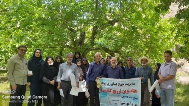 برگزاری روز مزرعه با موضوع آفت مخرب کرم خراط
