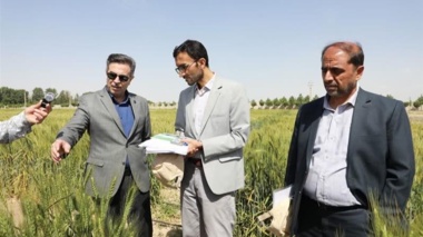 ضرورت تقویت نیروی انسانی به منظور افزایش اثربخشی دستاورد ها در بخش تحقیقات کشاورزی