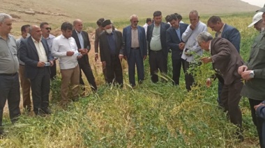 برگزاری دوره آموزش عملی کارشناسان و بهره‌برداران شهرستان خرم‌آباد