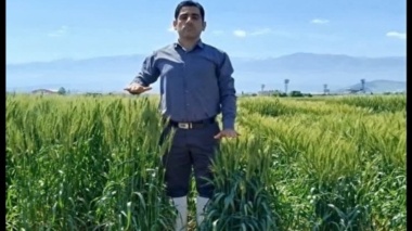 گام مؤثر در اصلاح تاریخ و تراکم کاشت گندم با تولید و بررسی لاین‌های دابل هاپلوئید