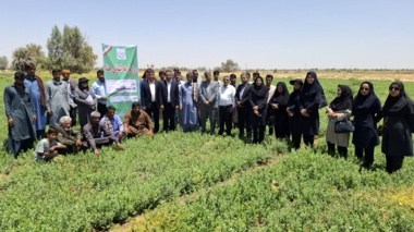 روز مزرعه استانی حنا در شهرستان رودبار جنوب