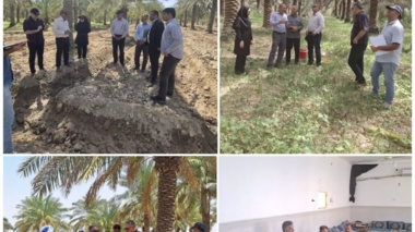 بازدید تیم ملی پایش از پایلوت‌های «کشاورزی پایدار» در خوزستان