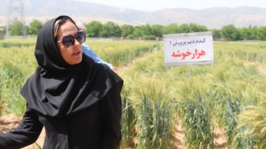 فرآیندی دانش‌بنیان برای ارتقای امنیت غذایی