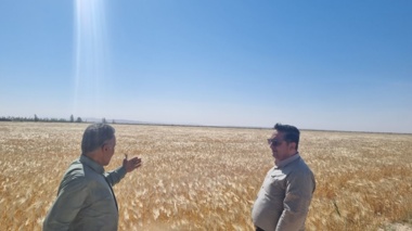 بازدید تخصصی مدیران مرکز از گرمسار و آرادان با محور ارتقای بهره‌وری، توسعه زیرساخت‌ها و تقویت رویکردهای فناورانه
