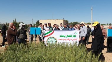 انتقال یافته های تحقیقاتی با عنوان آشنایی با ارقام جدید گندم و جو
