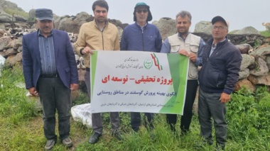 بهبود ۱۵ درصدی تولید بره در گله‌های روستایی و عشایری سبلان