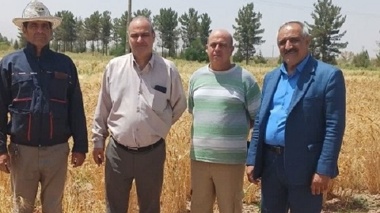 بازدید میدانی از ایستگاه تحقیقاتی شهید زنده‌روح و طرح‌های تکثیر بذور پرورشی گندم و جو