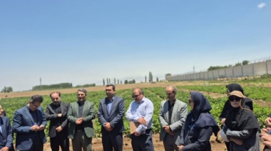 مرکز تحقیقات کشاورزی استان اردبیل موتور محرک کشاورزی نوین منطقه است