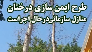 اجرای طرح هرس و ایمن‌سازی درختان چنار در منازل سازمانی موسسه رازی