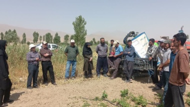 برگزاری کارگاه آموزشی کشت ردیفی لوبیا به روش آبیاری تیپ در روستای حک شهرستان شازند