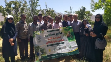 مانور استانی مبارزه با مگس میوه مدیترانه‌ای در بخش مرکزی کرمان برگزار شد