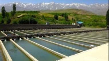 دو درصد شبکه ملی مزارع الگویی به شیلات اختصاص یافت