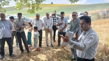 بسیج ظرفیت‌های علمی برای ارتقای بهره‌وری آفتابگردان در گلیداغ/ قطب تولید دانه‌های روغنی گلستان میزبان کارگاه آموزشی ترویجی شد