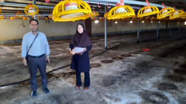 آغاز اجرای پروژه ملی بهینه‌سازی مصرف انرژی در مرغداری‌های گوشتی استان مرکزی