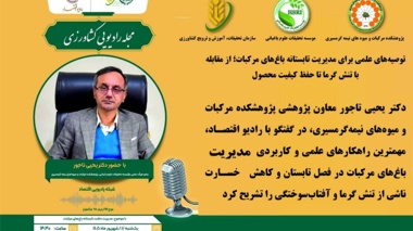 معاون پژوهشی پژوهشکده مرکبات و میوه‌های نیمه‌گرمسیری، در گفتگو با رادیو اقتصاد، مهمترین راهکارهای علمی و کاربردی مدیریت باغ‌های مرکبات در فصل تابستان و کاهش خسارت ناشی از تنش گرما و آفتاب‌سوختگی را تشریح کرد