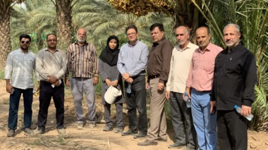 بازدید معاون برنامه‌ریزی و پشتیبانی مؤسسه تحقیقات علوم باغبانی از کلکسیون و نخلستان پژوهشکده خرما