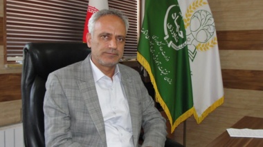 جهش بهره‌وری زراعی با آرایش نوین کشت نواری ذرت / شاهوردی: کاهش ۵۰ درصدی مصرف آب و نهاده‌ها با تلفیق الگوی کاشت متراکم و توسعه علوفه‌های کم‌آب‌بر